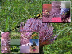 July 15, 2011 024D Oze National Park Thistle & Bee Mosaic Annotated