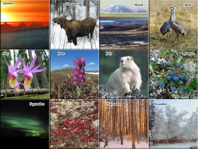 2018 Calendar - Alaska Nature Photos - The Photos