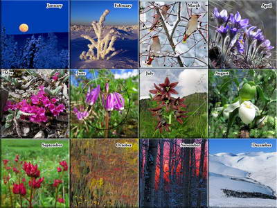 2021 Alaska Outdoor Photos Calendar - The Photos