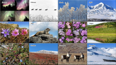 2026 Alaska Aurora, Animal, Flower, and Scenery Calendar - The Photos