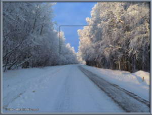 Jan27_01_WalkingSteeleCreekRd_Snow_ColdRC