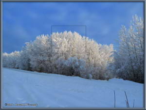 Jan27_09_WalkingSteeleCreekRd_Snow_ColdRC