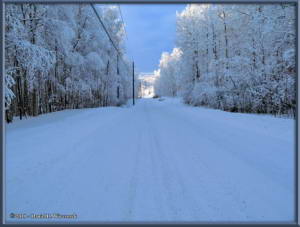 Jan27_12_WalkingSteeleCreekRd_Snow_ColdRC