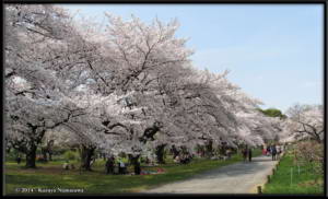 Apr1st_33_34_KoishikawaBG_PanoramaRC