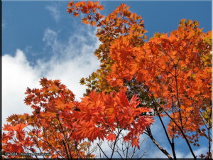Oct12th_Kusatsu06_ColorsRC