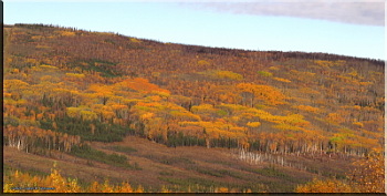 092425_051_052_AutoPanoAdj_FallColors_ElliottHwyRC