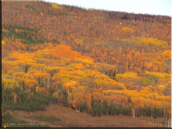 092425_058_FallColors_ElliottHwyRC