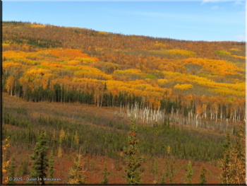 092425_064_FallColors_ElliottHwyRC