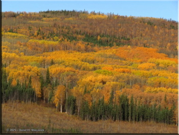 092425_065_FallColors_ElliottHwyRC