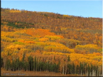 092425_066Adj_FallColors_ElliottHwyRC