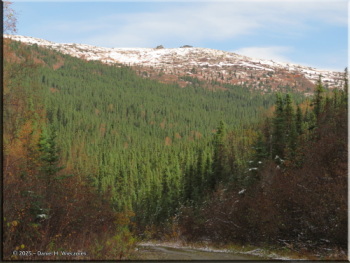 092425_119_ElliottHwy_WickershamDomeRC