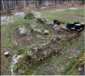 092925_1_2_AfterGardenCleanupRC