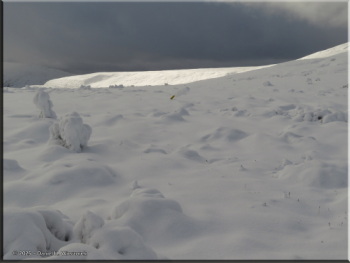 093025_22_EagleSummitAreaRC