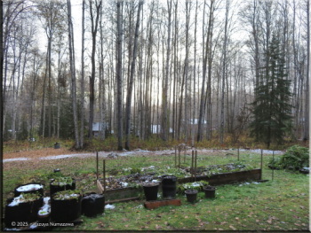 Sept30th_1_GardenFinishedCleanupRC