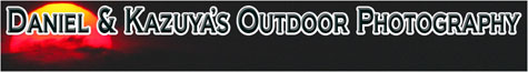danwiz.com