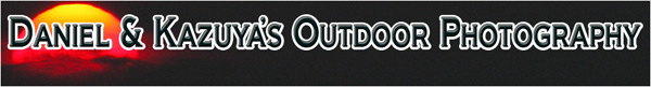 danwiz.com