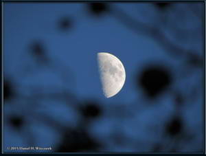 Dec19_113_MoonThroughOakTree_MtTakaoRC