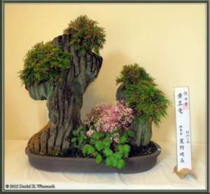 Oct24_05_JindaiBotGarden_IwaHibaCropRC