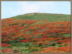 Sep21_104_Akita_Komagatake_TowardsMtZarumoriRC