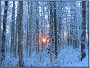 Dec18_14_SnowStormRC