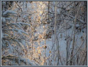 Nov17_3_IceCrystalsInTheAirRC