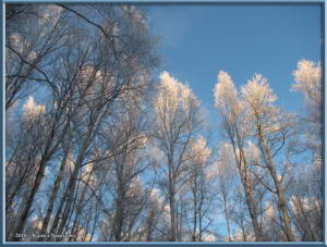 Nov17th_001_SnowAndSkiRC