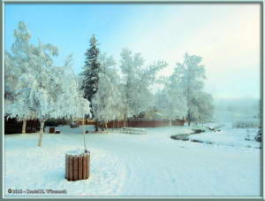 Nov25_06_ChenaHotSpringsRC