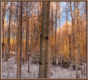 Nov8_4_5_AutoPano_SunriseColorsRC