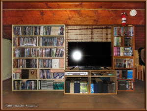Oct17_1_TV_DVDShelvesRC