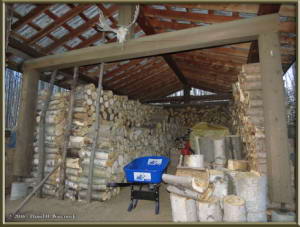 Oct20_04_House_YardRC